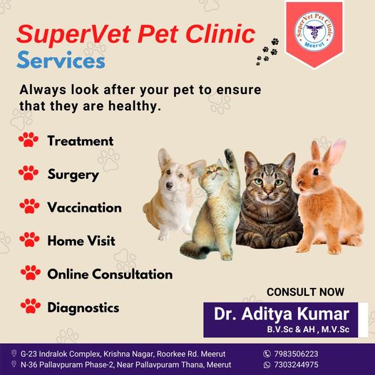 SuperVet Pet Clinic